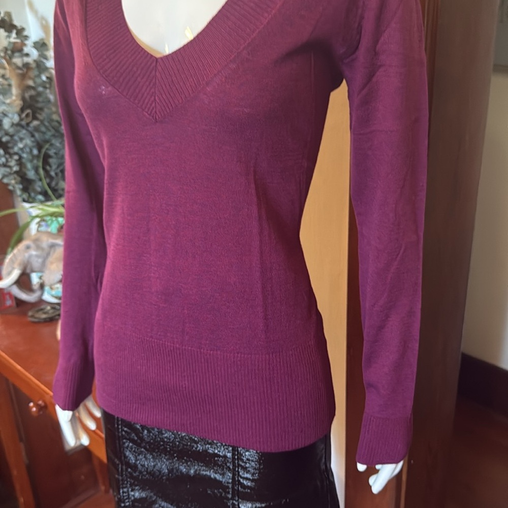 NWT northern reflections size small Purple V-Neck light summer Sweater